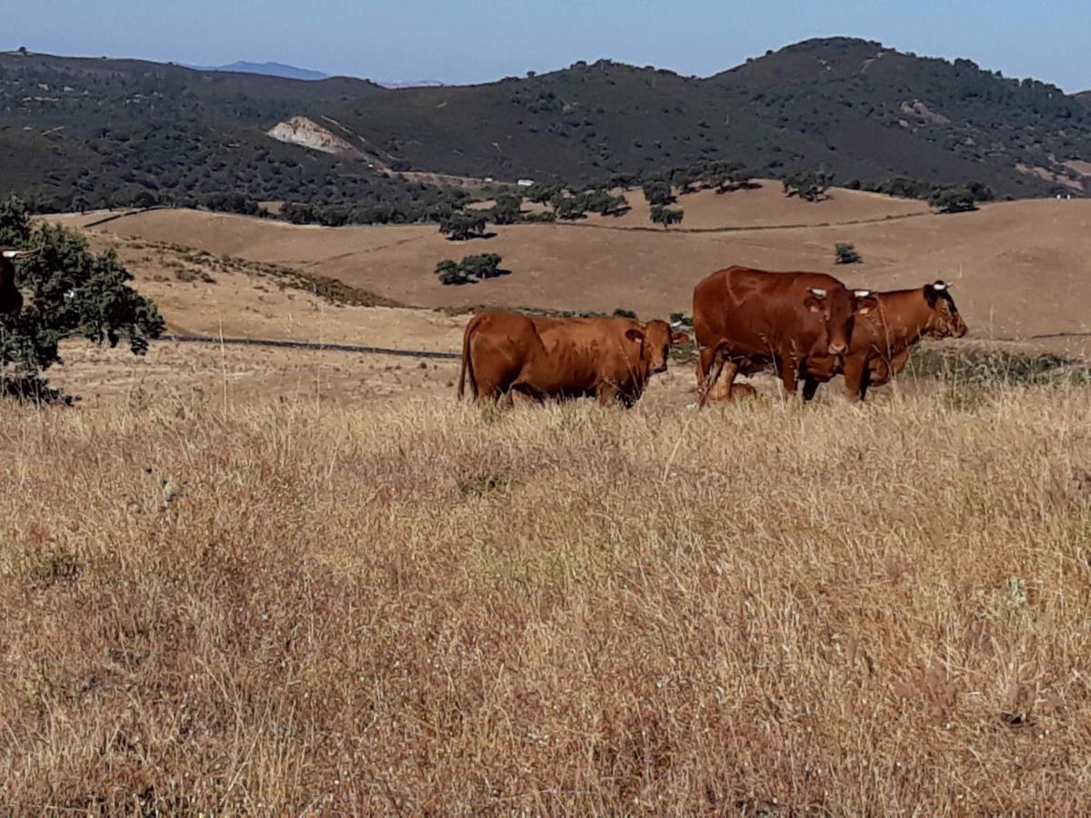 Alojamientos Cabezo Del Gato Aracena Buitenkant foto